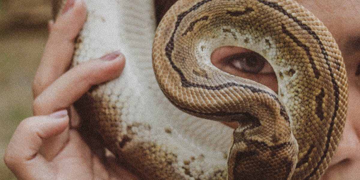 pulseira de serpentinita
